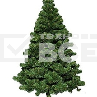 Ель Сибирская 1,8 м 0118