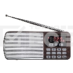 Радиоприемник цифровой PERFEO ЕГЕРЬ FM+ 70-108МГц/ MP3/ питание USB или BL5C/ коричневый (i120-BK), фото 1