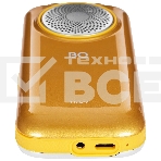Мобильный телефон BQ 2005 Disco золотистый, фото7