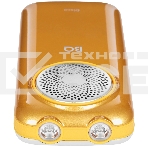 Мобильный телефон BQ 2005 Disco золотистый, фото8