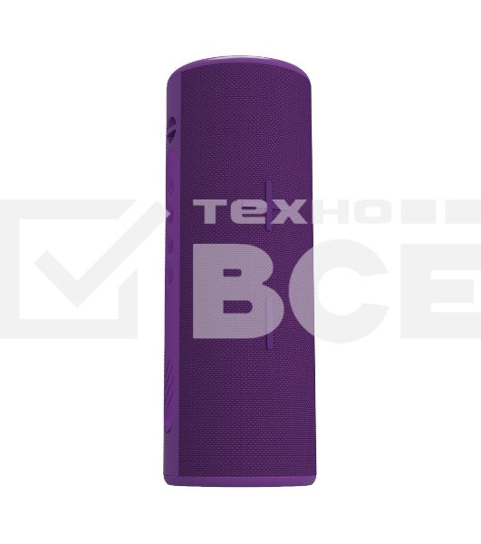 Портативная колонка SOUNDMAX SM-PS5024B(фиолетовый)