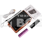 Радиоприемник PERFEO (PF_D0573) ALPINIST, коричневый, фото3