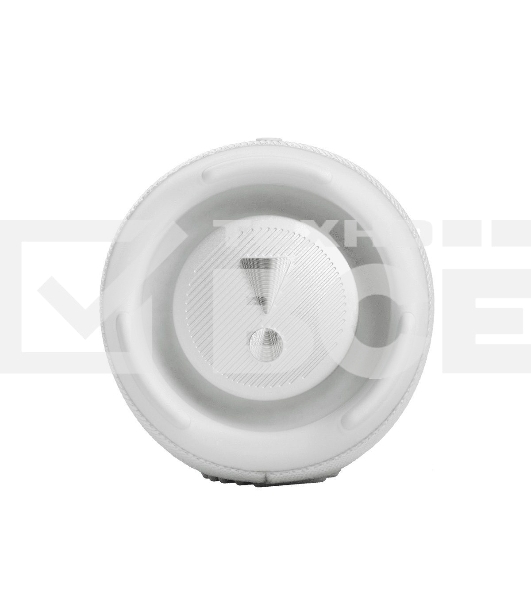 Портативная акустическая система JBL Charge 5 белая