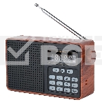 Радиоприемник PERFEO (PF_D0573) ALPINIST, коричневый, фото 1