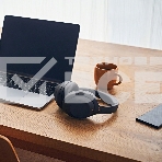 Гарнитура SONY WH-1000XM4/BM черный, фото2