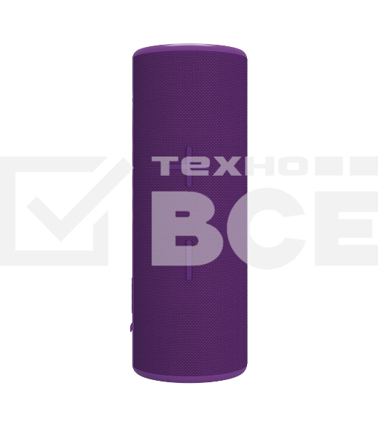 Портативная колонка SOUNDMAX SM-PS5024B(фиолетовый)