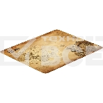 Коврик для мыши Cactus Antique map 220x180x2мм (CS-MP-P08XS), фото3