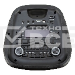 Колонка Eltronic 10