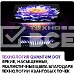 Телевизор Haier 65' S2 Pro черный QLED 4K UHD 60Hz Smart TV Android TV 2GB/16GB, фото16