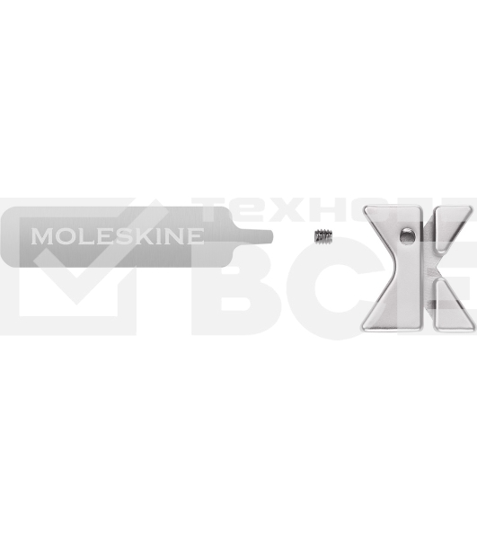 Шильд-символ Moleskine Zodiac Дева, металл, серебристый, коробка с европодвесом, PINVIRGOSILV