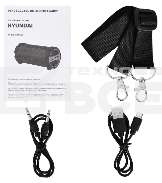 Колонка портативная Hyundai H-PAC220 черный/голубой 10W 1.0 BT/3.5Jack/USB