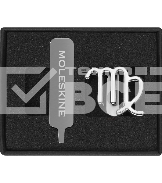 Шильд-символ Moleskine Zodiac Дева, металл, серебристый, коробка с европодвесом, PINVIRGOSILV