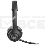 Гарнитура беспроводная Jlab GO WorkWireless Duo-Black, Version 2, Link USB-C, фото2