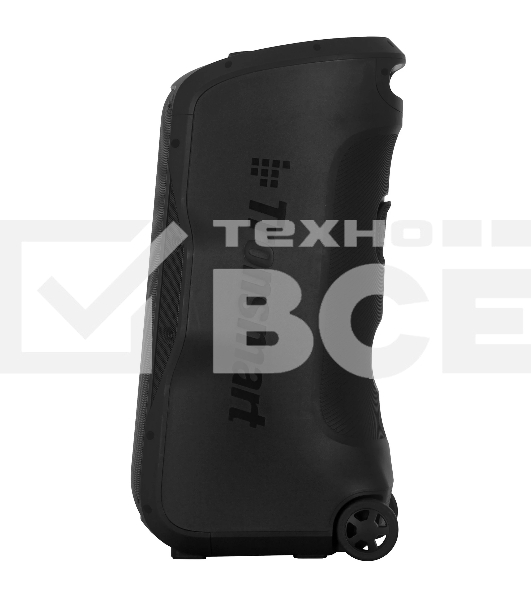 Портативная аудиосистема Tronsmart Halo 300 Black, черный
