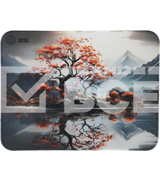 Коврик для мыши Cactus Lake 400x300x3мм (CS-MP-PRO18XL)