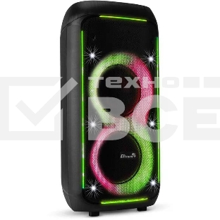 Колонка Eltronic 08