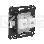 Розетка компьютерная DKC Avanti 4400664 RJ-45 без шторки в стену, кат.5е двойная, 