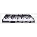 Клавиатура MIDI [OXYGENPROMINI] M-audio [Oxygen Pro Mini] 32 клавиши, 4 энкодера, 4 фейдера, 8 пэдов, 12 кнопок управления, колеса высоты тона и модуляции, smart control, auto-mapping, встроенный арпеджиатор, 1/4