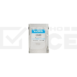 Накопитель SSD 3.84Tb U.3 NVMe SSD PCIE G4 Kioxia, 1DWPD for R model, for use only in Infrorend Storage System