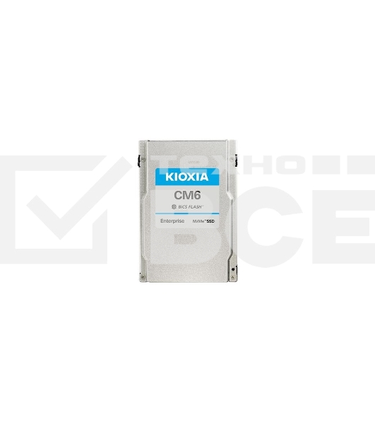 Накопитель SSD 3.84Tb U.3 NVMe SSD PCIE G4 Kioxia, 1DWPD for R model, for use only in Infrorend Storage System