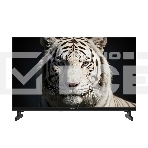 Телевизор TopDevice 24'' TDWC24BH5260V черный DLED HD Smart GTV 60Hz 1.5GB/32GB, фото 1