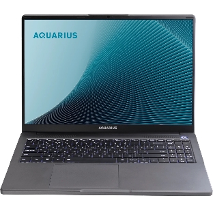 Ноутбук Aquarius Cmp NE356 Ryzen 5 6600H 8Gb SSD256Gb 16' WUXGA без ОС WiFi BT (NE356153318S125SCN2TMANNN2)