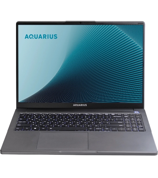 Ноутбук Aquarius Cmp NE356 Ryzen 5 6600H 8Gb SSD256Gb 16' WUXGA без ОС WiFi BT (NE356153318S125SCN2TMANNN2)