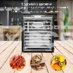 Сушка для фруктов и овощей Hyundai HYFD-P1801 18под. 700 Вт, черный, фото12