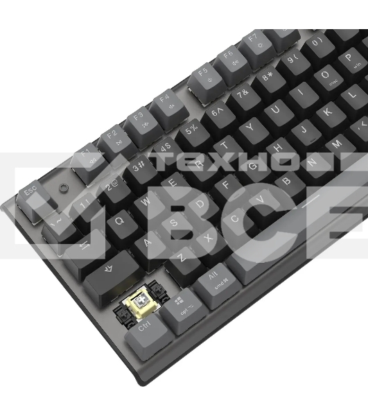 Клавиатура A4Tech Fstyler FS100 Neon проводная, USB, черный