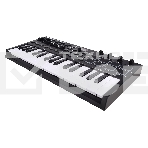 Клавиатура MIDI [OXYGENPROMINI] M-audio [Oxygen Pro Mini] 32 клавиши, 4 энкодера, 4 фейдера, 8 пэдов, 12 кнопок управления, колеса высоты тона и модуляции, smart control, auto-mapping, встроенный арпеджиатор, 1/4