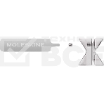 Шильд-символ Moleskine Zodiac Близнецы, металл, серебристый, коробка с европодвесом, PINGEMINISILV, фото3