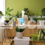 Увлажнитель воздуха ультразвуковой Neoclima Vision LED 2.5L, объем 2.5л, LED, сенсор белый, фото2