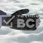 Перчатки трикотажные Сибртех, акрил, двойные, черный, двойная манжета, фото2