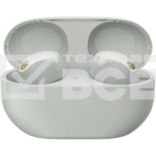 Наушники Sony WF-1000XM5 серебристый