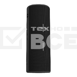 Портативная колонка Soundmax SM-PS5024B черный