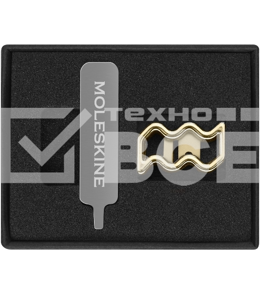 Шильд-символ Moleskine Zodiac Signs Водолей, металл, золотистый, коробка с европодвесом, PINAQUARIUSGOLD