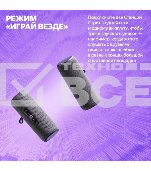 Умная колонка Yandex Стрит Алиса черный 30W 2.0 BT/Wi-Fi 10м 3300mAh (YNDX-00030BLK)