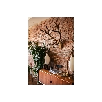 Розеточный блок двойной с заземлением предварительным подключением без шторок 16А 250В винтовые зажимы накладной Quteo IP20 Чёрный матовый, фото10