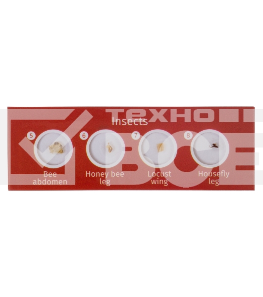 Набор микропрепаратов Levenhuk LABZZ CP24, существа и растения (72870)