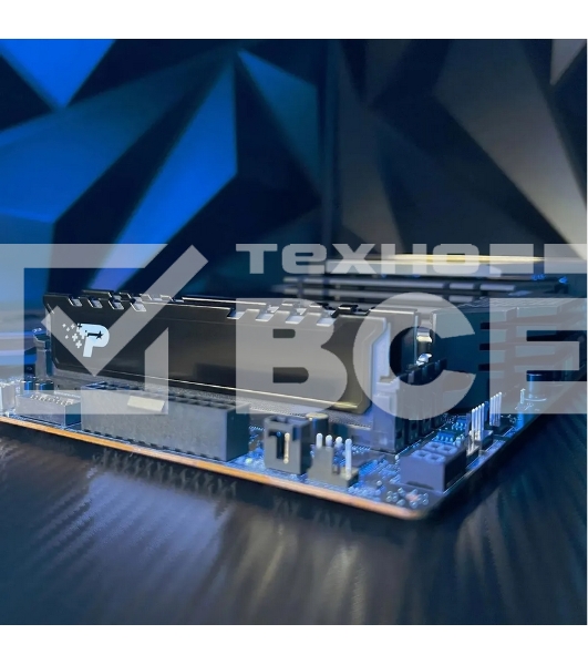 Оперативная память Patriot Signature Premium, DDR5, 16GB (1x16 GB), 4800 MHz, CL40, радиатор, черный