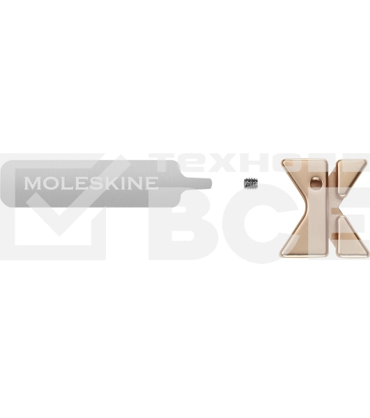 Шильд-символ Moleskine Zodiac Signs Водолей, металл, золотистый, коробка с европодвесом, PINAQUARIUSGOLD