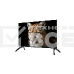 Телевизор TopDevice 24' TDWC24BH1000I черный DLED HD 60Hz, фото3