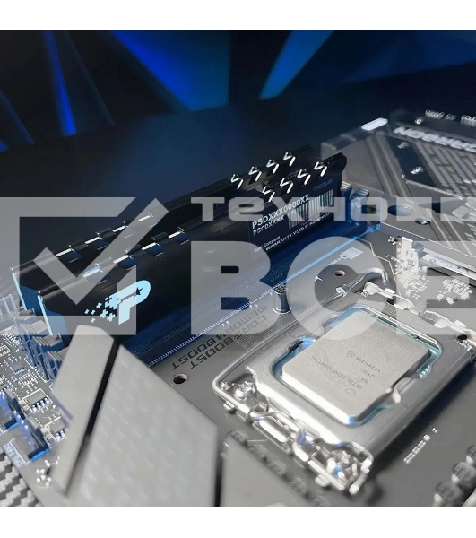 Оперативная память Patriot Signature Premium, DDR5, 16GB (1x16 GB), 4800 MHz, CL40, радиатор, черный