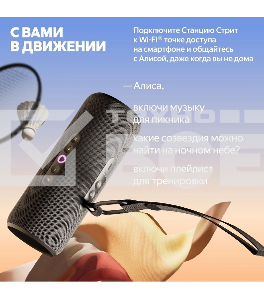 Умная колонка Yandex Стрит Алиса черный 30W 2.0 BT/Wi-Fi 10м 3300mAh (YNDX-00030BLK)