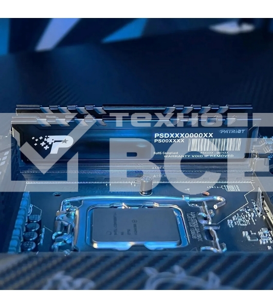 Оперативная память Patriot Signature Premium, DDR5, 16GB (1x16 GB), 4800 MHz, CL40, радиатор, черный
