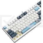 Клавиатура A4Tech Fstyler FS300 (FS300 PANDA SNOWBOARDING) проводная, USB, белый/синий, фото2