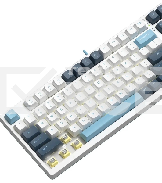 Клавиатура A4Tech Fstyler FS300 (FS300 PANDA SNOWBOARDING) проводная, USB, белый/синий