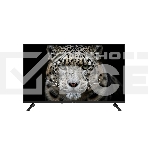 Телевизор TopDevice 32' TDWC32BH1000V черный DLED HD 60Hz, фото 1