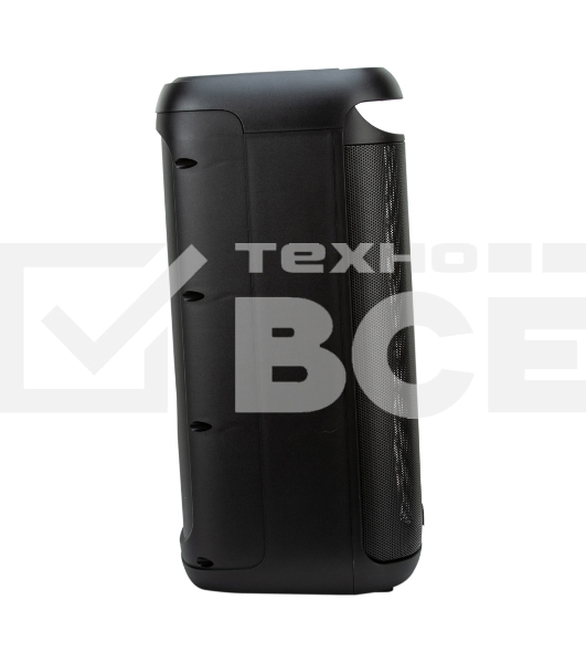 Акустическая система ELTRONIC (30-44) DANCE BOX 900 - колонка 06