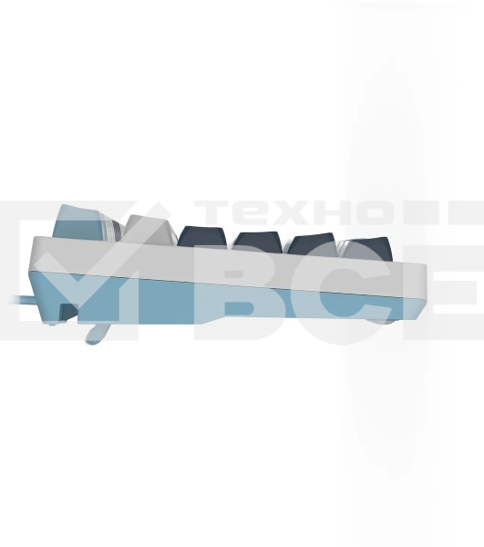 Клавиатура A4Tech Fstyler FS300 (FS300 PANDA SNOWBOARDING) проводная, USB, белый/синий